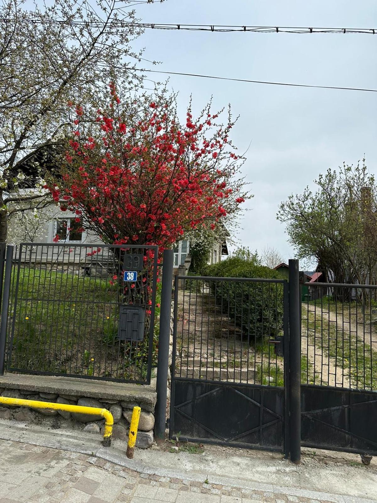 Casa Eroilor Vila Curtea de Argeş Exterior foto