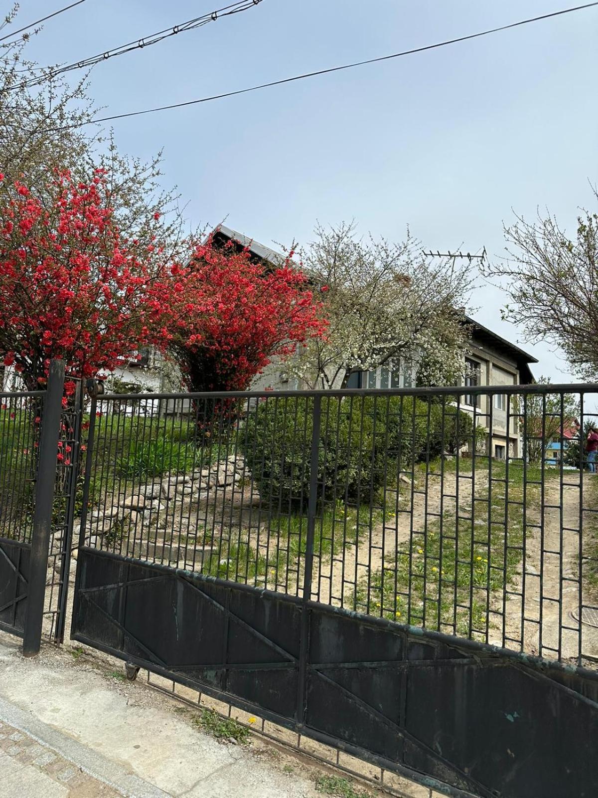 Casa Eroilor Vila Curtea de Argeş Exterior foto